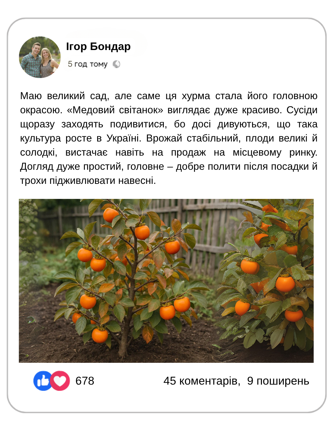 Заголовок