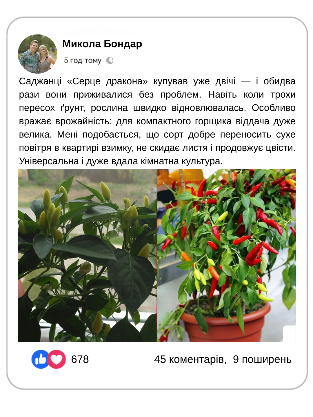 Заголовок